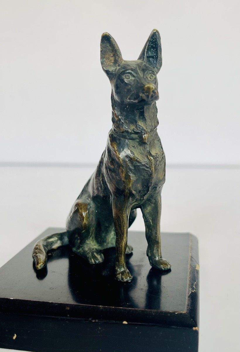 German Bernier Dog In Bronze -photo-1